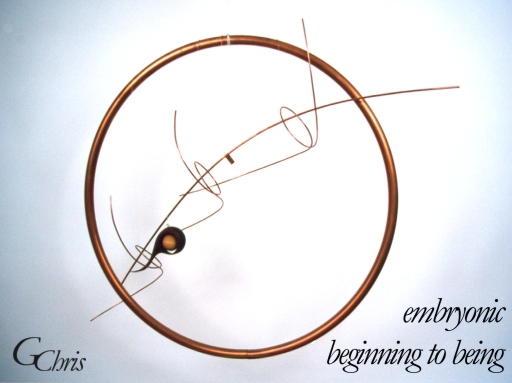 embryonic beginning to being