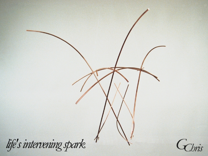 life's intervening spark