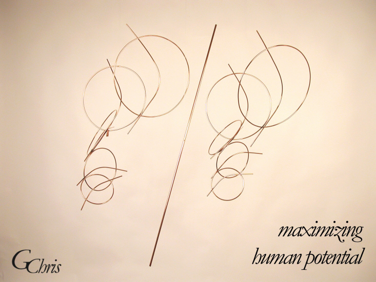 maximizing human potential