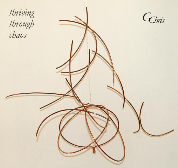thriving through chaos